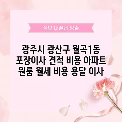 광주시 광산구 월곡1동 포장이사 견적 비용 아파트 원룸 월세 비용 용달 이사