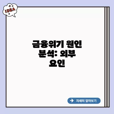 금융위기 원인 분석: 외부 요인