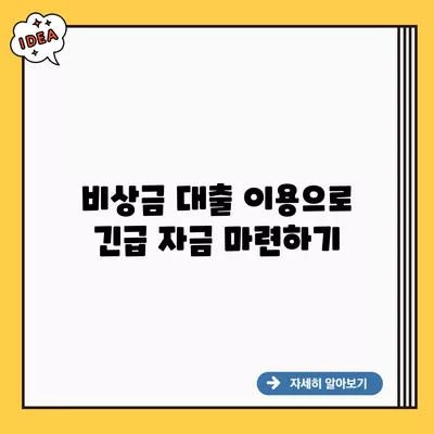 비상금 대출 이용으로 긴급 자금 마련하기