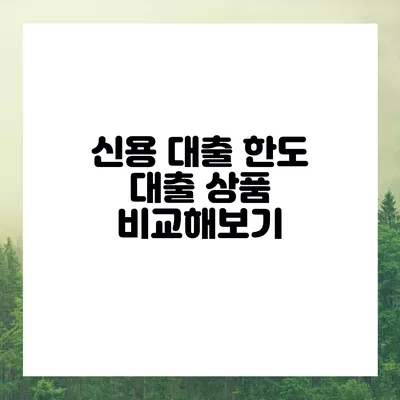 신용 대출 한도 대출 상품 비교해보기